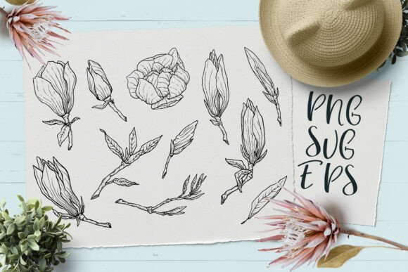 Download Magnolia Hand-drawn Vector Graphics SVG, - Graphic Collection