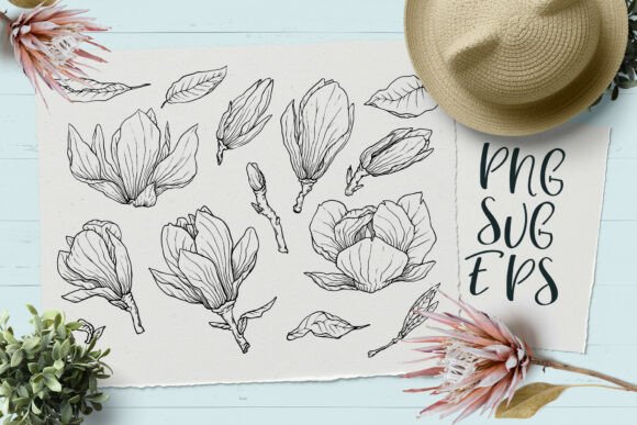 Download Magnolia Hand-drawn Vector Graphics SVG, - Graphic Collection